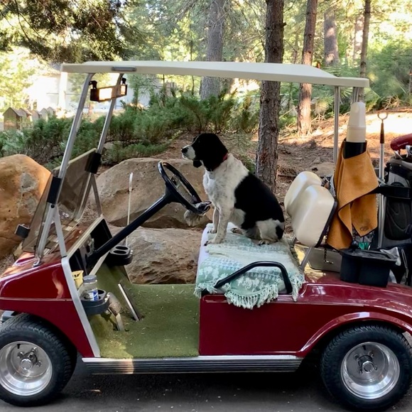 Meet your Posher, Mary - Picture 9 of 14